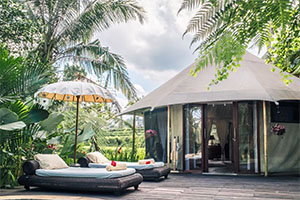 Unique Experience - Glamping, Eco Lodge, etc