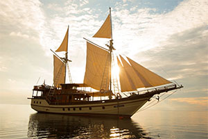 Cruise & Island Hopping