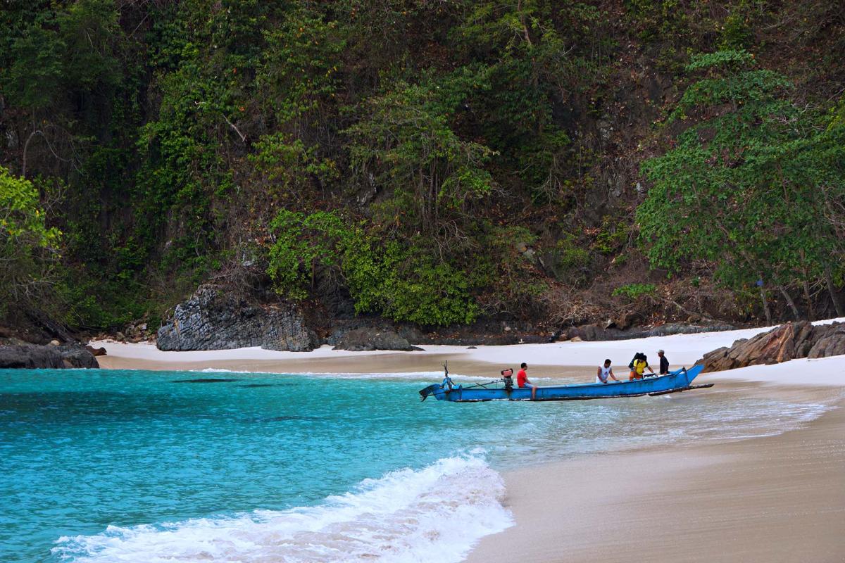 3D/2N Wild Sukamade Adventure gallery photo 3