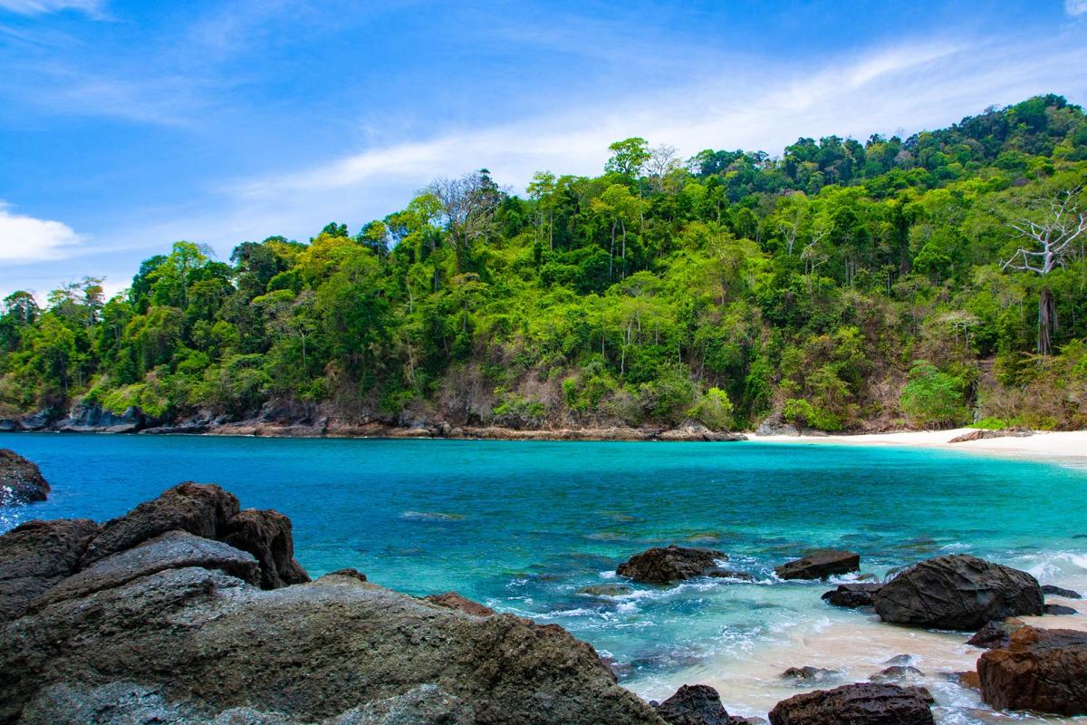 3D/2N Wild Sukamade Adventure gallery photo 4