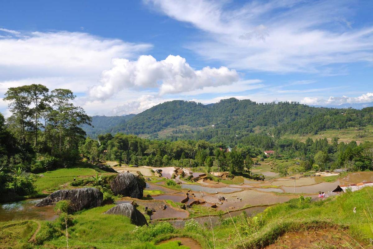 4D/3N Toraja: Unveiling the Ancient Heritage gallery photo 2