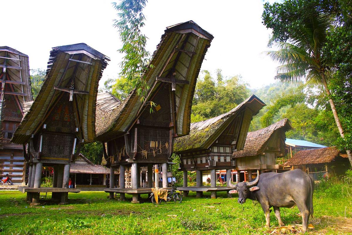 4D/3N Toraja: Unveiling the Ancient Heritage