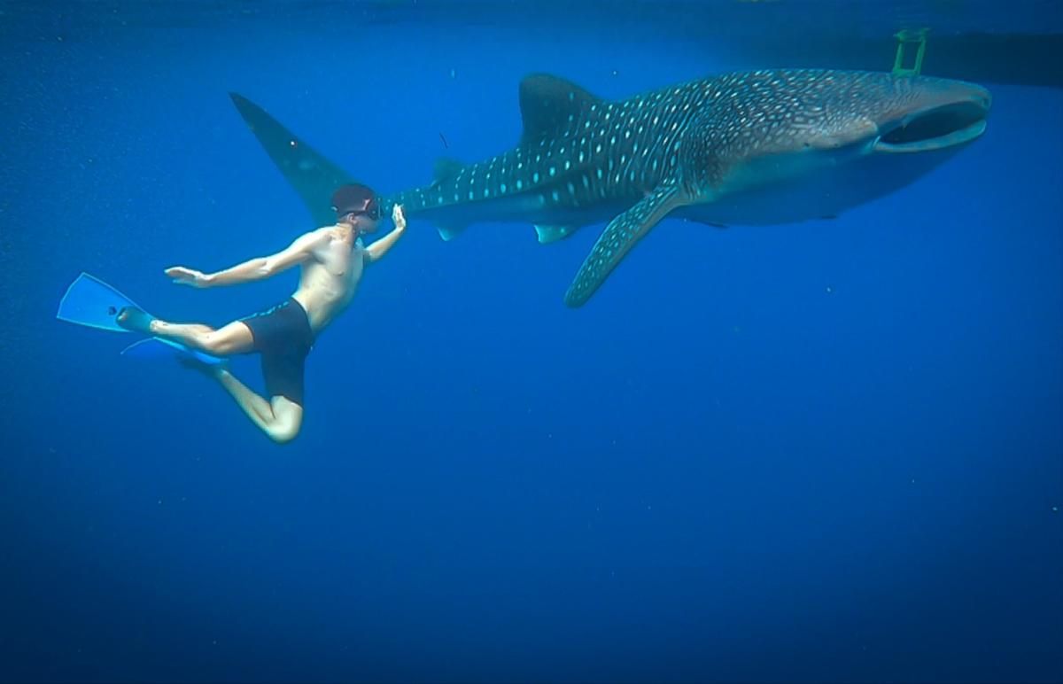 4D/3N Whales & Natures of Sumbawa