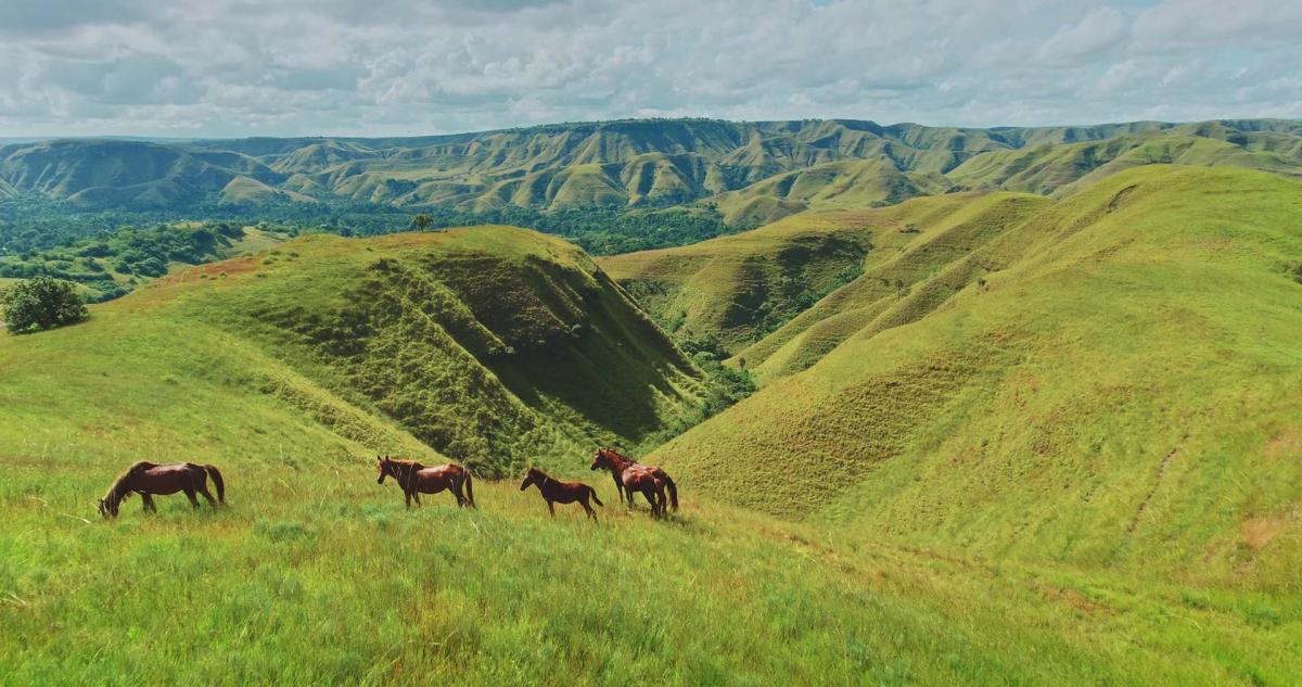 4D/3N Wild Sumba Exploration