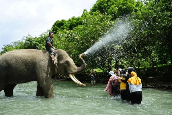 6D/5N North Sumatra Tour gallery photo 2