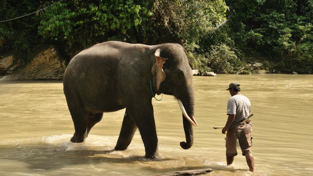 6D/5N North Sumatra Tour