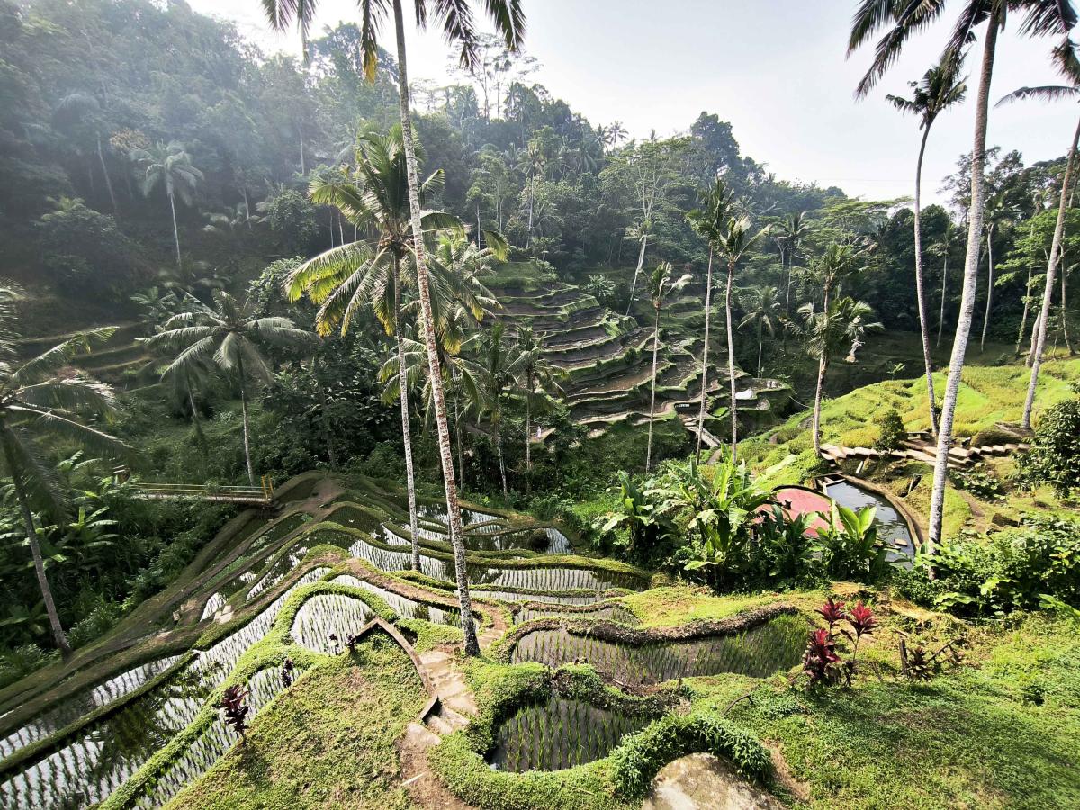 5D/4N Bali Nature & Adventure tour package