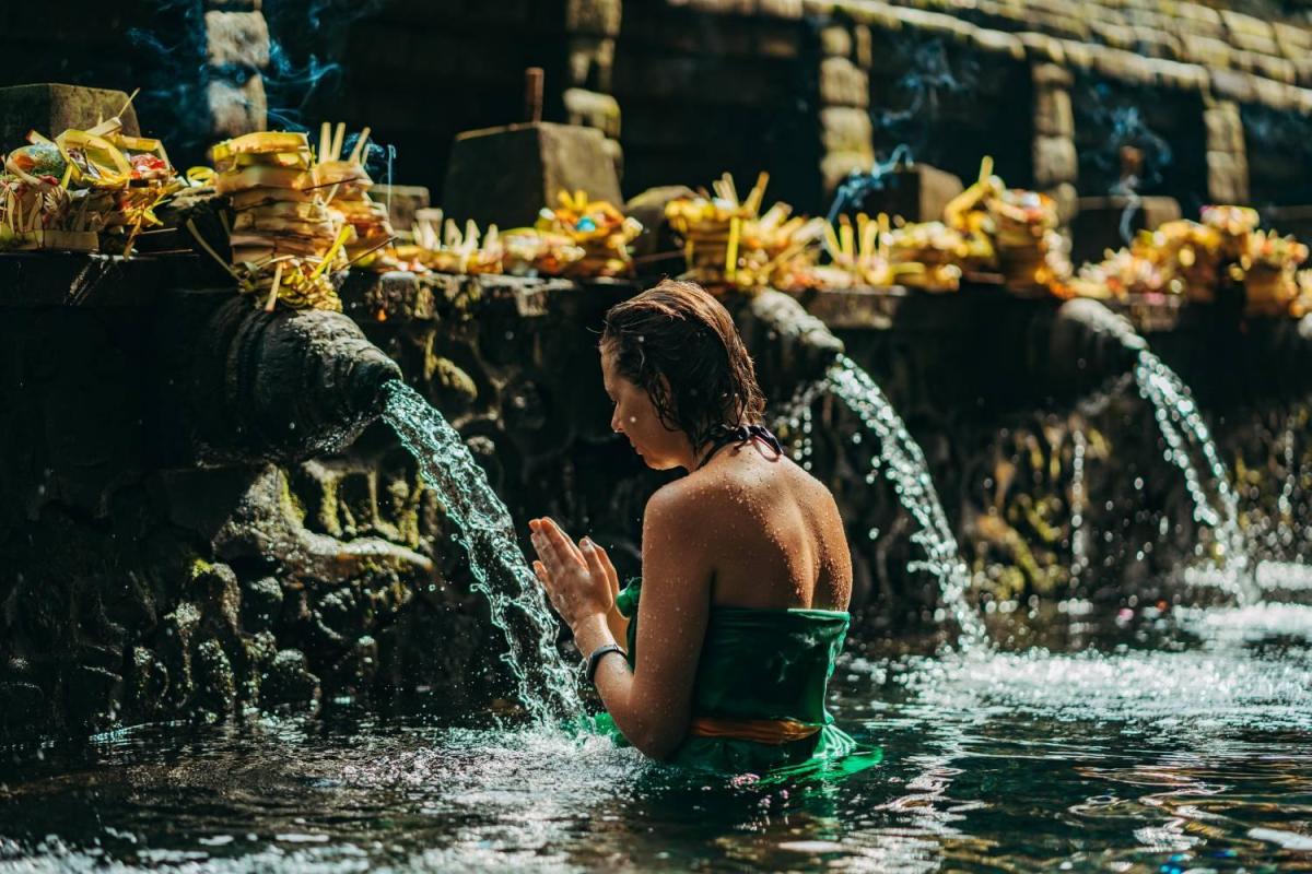 Ubud Highlight Full-Day Tour tour package